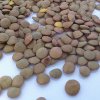 All About Lentils From Cooking Lentils to Lentils Nutrition
