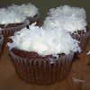 Chocolate Coconut Cupcakes