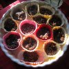 CocoMint Truffles