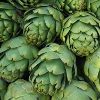 artichokes