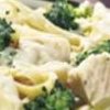 Cheesy Chicken Casserole Recipes