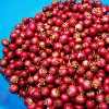Cranberry Pumpkin Bread