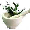 Herbs for Health The 10 Best Herbs for Healthy Cooking