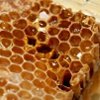 Honeycomb