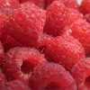 Raspberry Cream Cheese Butter Cookies