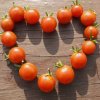 Tomato Hearts